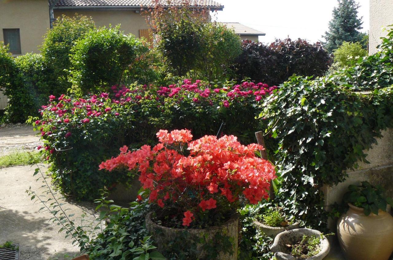 Bed and Breakfast Au The A La Menthe Romans-sur-Isère Exteriér fotografie